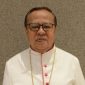 Kardinal Ignatius Suharyo