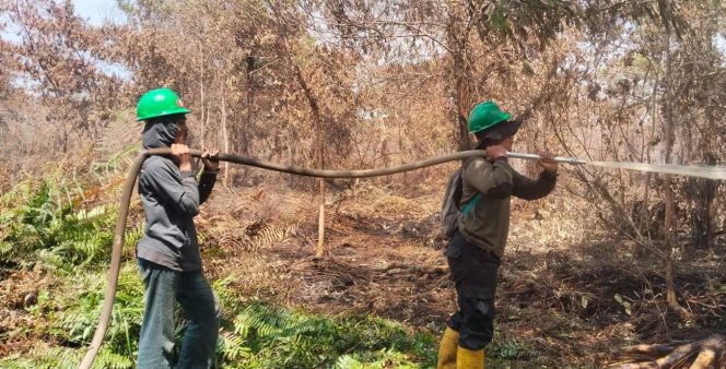 
Kebakaran Hutan dan Lahan Terjadi di Desa Kuala Dua, Api Dekati Permukiman