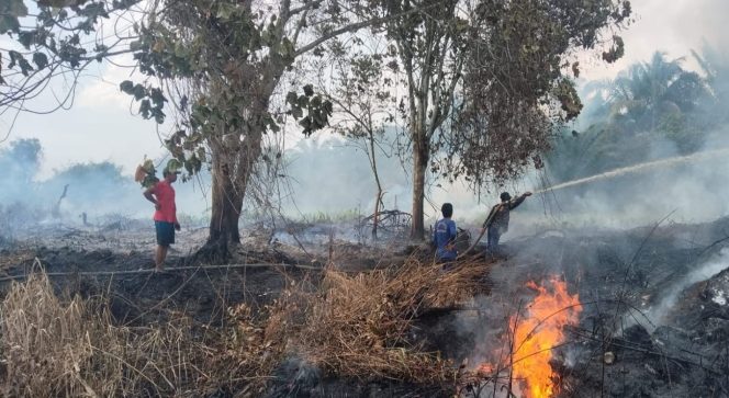 
					Karhutla di Kubu Raya Masuki Hari ke-12, Api Merembet Dekati Jalan Raya di Desa Kuala