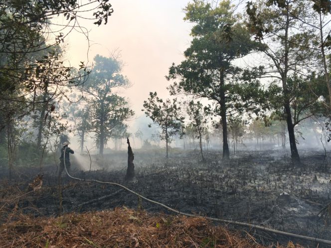 
					Karhutla Kepung Parit 2 Ujung, Petugas Manggala Agni Berjibaku Jinakkan Lidah Api di Lahan Gambut