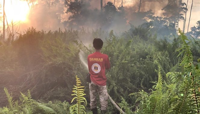 
					Titik Karhutla Muncul Kembali di Kubu Raya, Damkar Parit Haji Muksin Lakukan Pemadaman