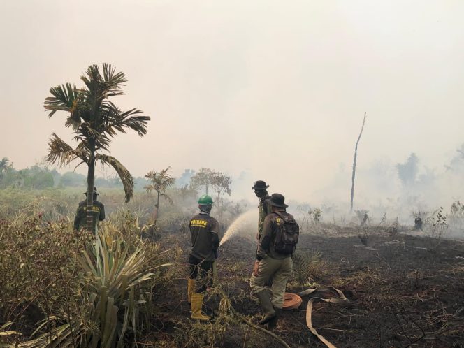 
					Karhutla Kembali Meluas di Rasau Jaya, Lahan Gambut dan Cuaca Panas Percepat Penyebaran Api