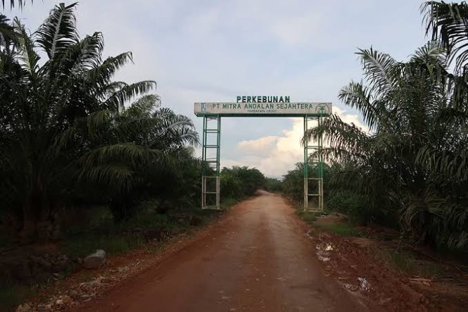 
					Sengketa 91 SHM di Area Plasma PT. MAS Temui Titik Terang