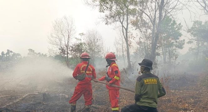 
					Karhutla Kembali Muncul di Kubu Raya, Petugas Tetap Berjibaku Padamkan Api Meski Berpuasa