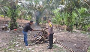Polsek Belitang Hilir Bongkar Arena Sabung Ayam di Dusun Beruduk