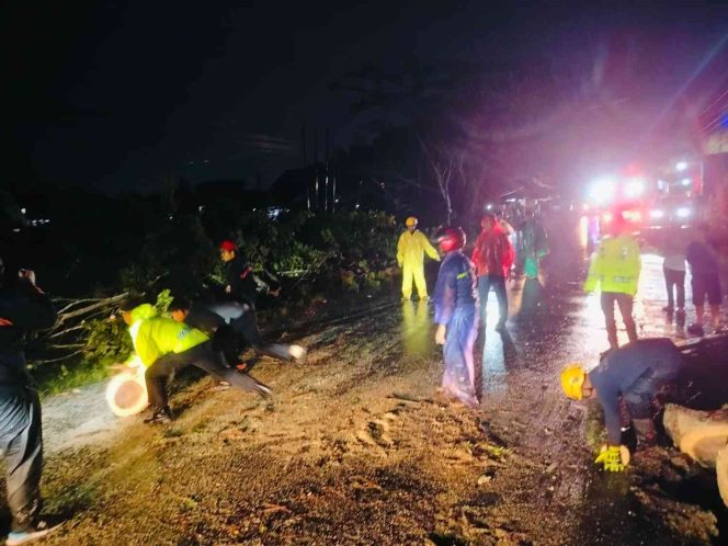 
Hujan Disertai Angin Kencang Sebabkan Pohon Tumbang, BPBD Kubu Raya dan Relawan Sigap Menangani