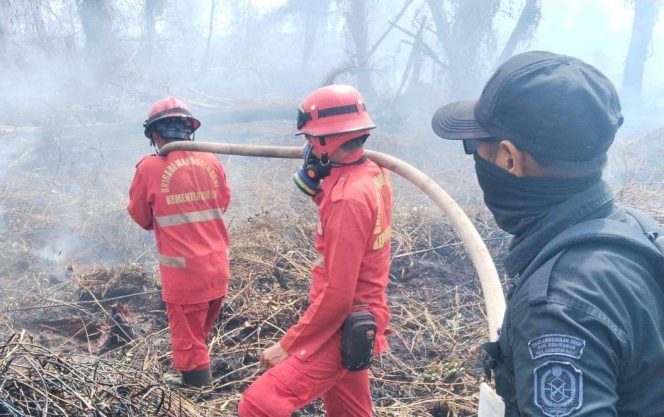 
Titik Karhutla Kembali Muncul di Desa Rasau Jaya Umum, Pemadaman Terkendala Jarak