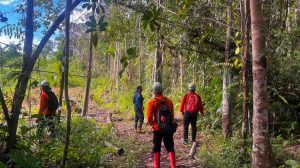 Hari Ketujuh Pencarian, Operasi SAR Korban Hilang di Kebun Sawit Sekadau Resmi Ditutup