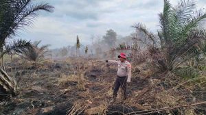 Polsek Matan Hilir Utara Bersama Manggala Agni Dan Warga Lakukan Pemadaman Kebakaran Lahan