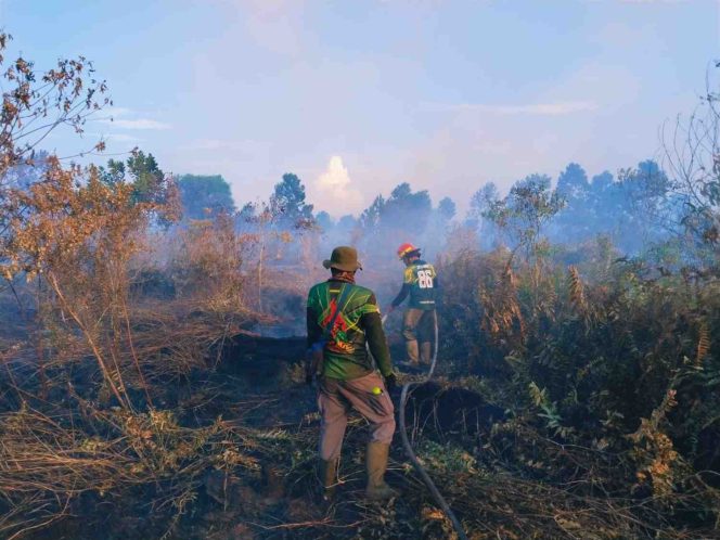 
Karhutla di Kubu Raya Masih Berlangsung, Tim Brigade Dalkarhutla KPH Terus Berjibaku Padamkan Api